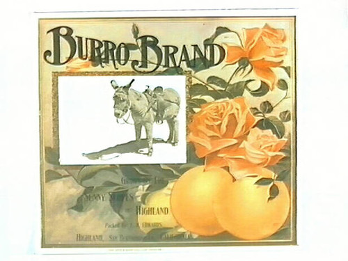 Burro Brand