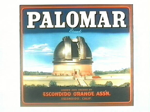 Palomar Brand