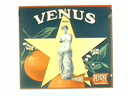 Venus Brand