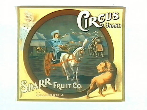 Circus Brand