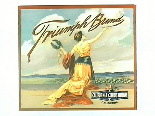 Triumph Brand