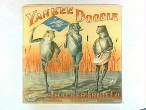 Yankee Doodle