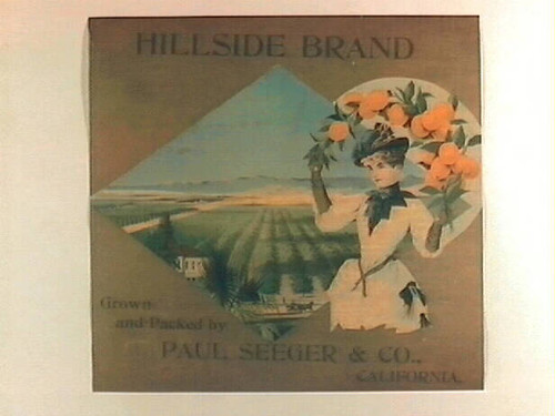 Hillside Brand