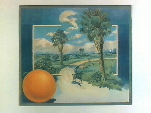 Stock label: woman riding horse past orange trees, palms and a well