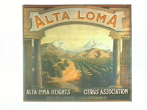 Alta Loma