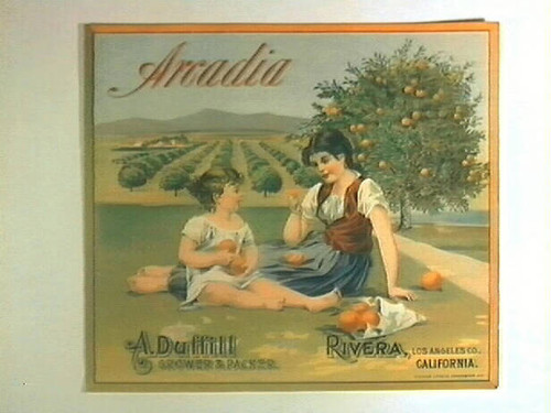 Arcadia