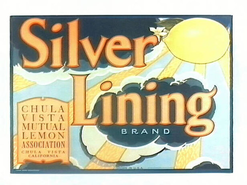 Silver Lining Brand