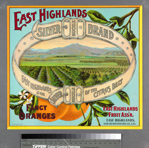 Silver Buckle Brand