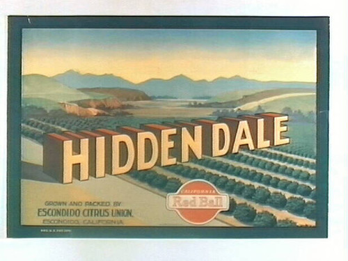 Hidden Dale