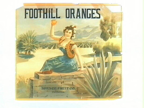 Foothill Oranges