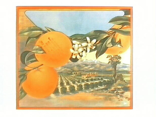 Stock label: oranges over landscape of orchards and mountains