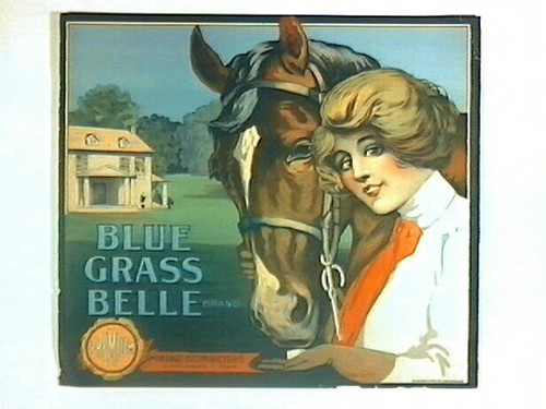 Blue Grass Belle Brand