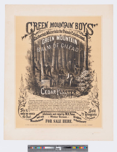 Green mountain boys gathering materials for Paine's celebrated Green Mountain Balm of Gilead and Cedar Plaster