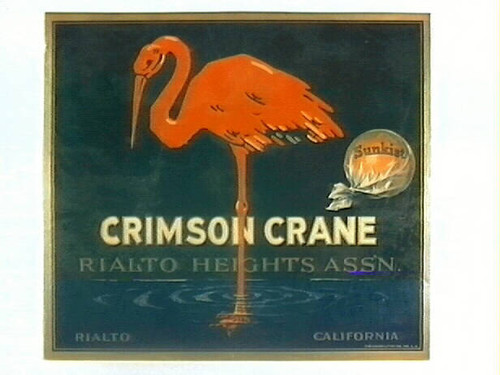 Crimson Crane