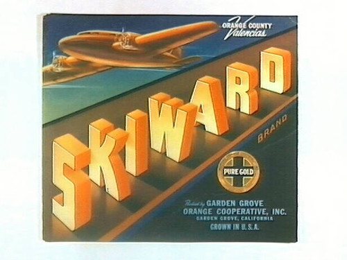 Skiward Brand