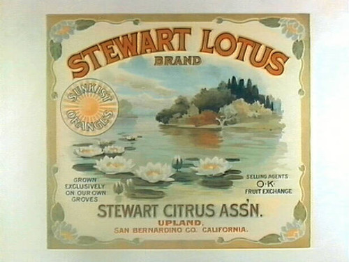 Stewart Lotus Brand