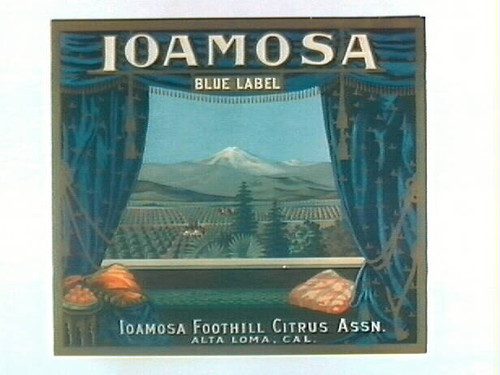 Ioamosa