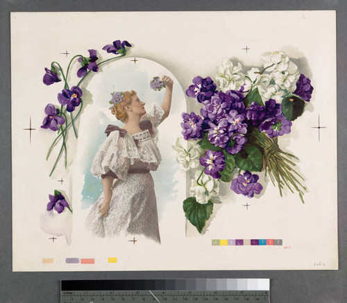 [Proof of woman with violets, purple and white violet bouquet]