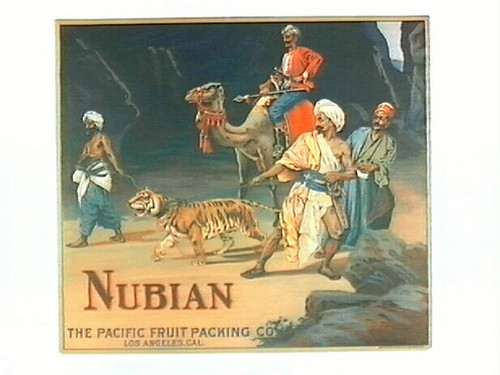 Nubian