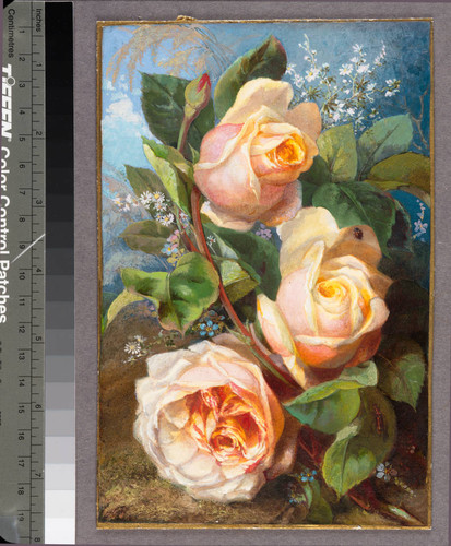 [Pale pink roses with blue sky background]