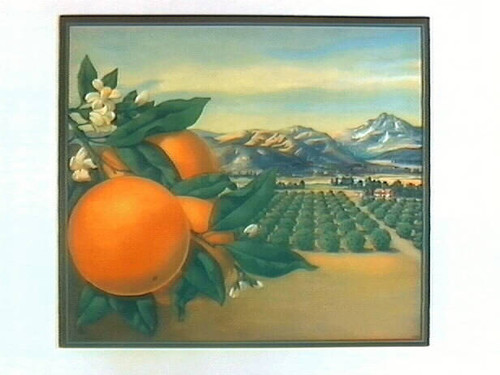 Stock label: oranges, leaves and blossoms with orchards, lake and mountains