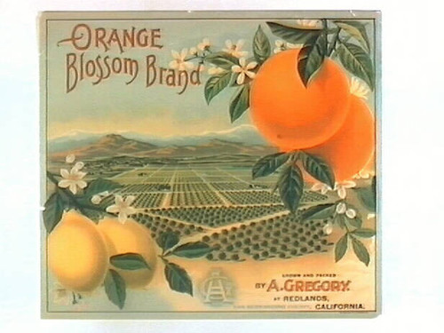 Orange Blossom Brand