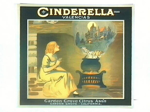 Cinderella Brand