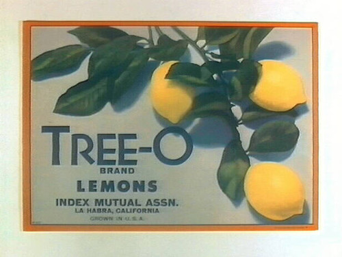 Tree-O Brand