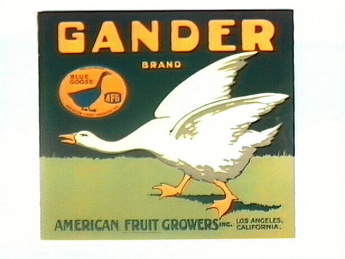 Gander Brand