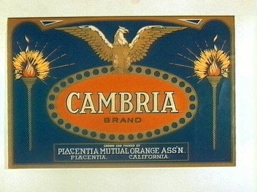 Cambria Brand