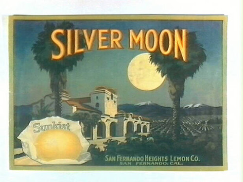 Silver Moon