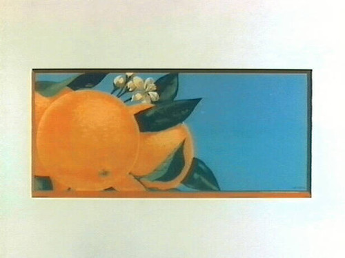 Stock label: three oranges with blossoms on half sheet