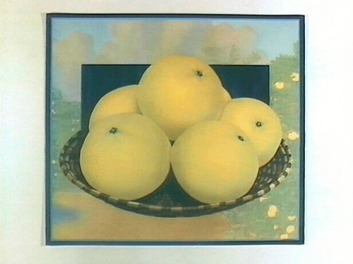 Stock label: floating basket of grapefruits with grapefruit trees in background