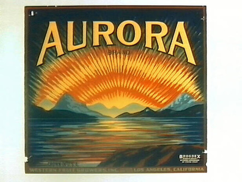 Aurora Brand