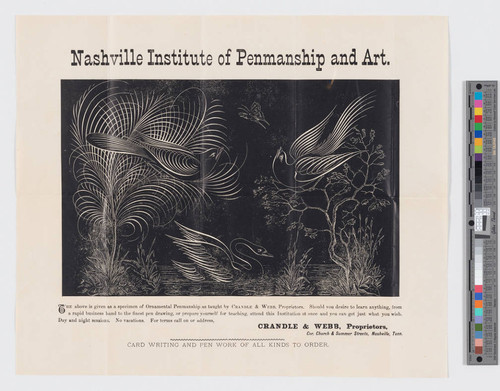 Nashville Institute of Penmanship and Art