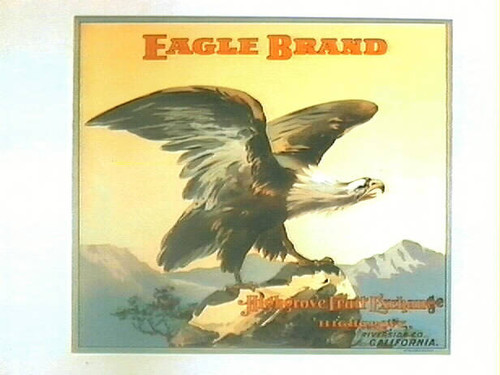 Eagle Brand