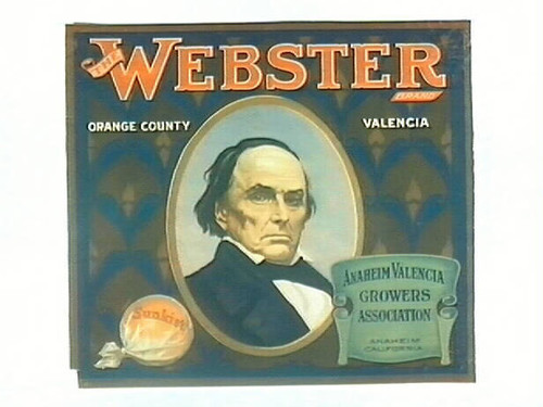 The Webster Brand