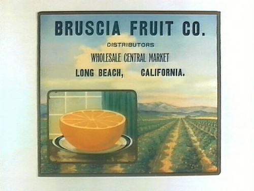 Bruscia Fruit Co