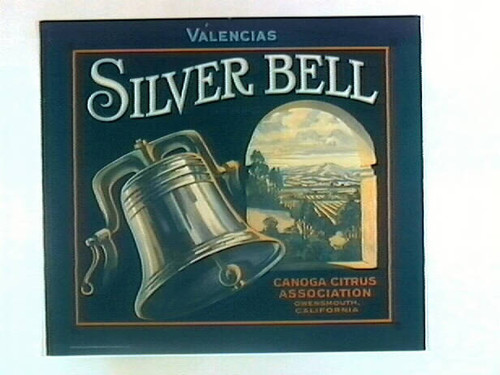 Silver Bell