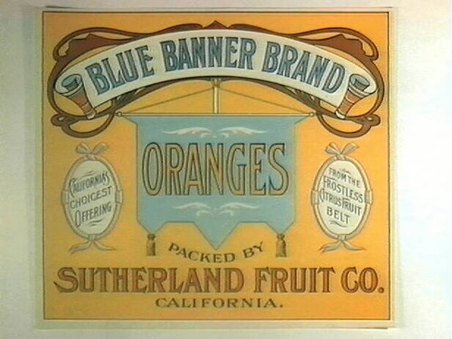 Blue Banner Brand