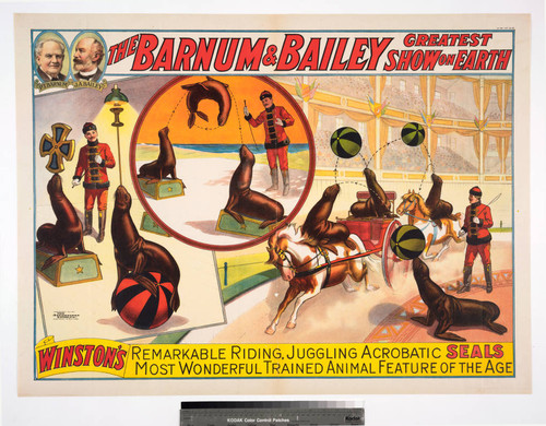 Barnum & Bailey greatest show on Earth : Winston's remarkable riding, juggling aerobatic seals most wonderful trained animal feature of the age