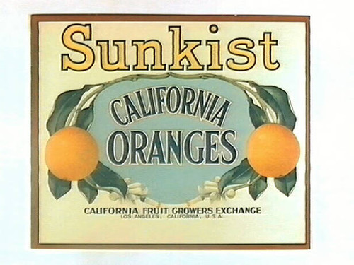 Sunkist Store Display Paper Sign / サンキスト Sunkist — Calisphere