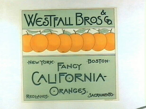 Westfall Bros & Co