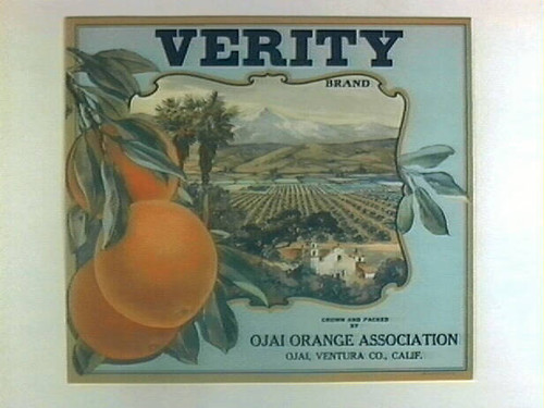 Verity Brand