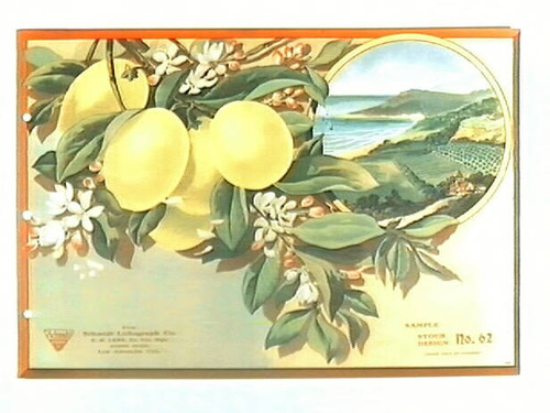 Stock label: lemons on branch with vignette of orchards and coastline