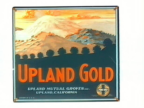 Upland Gold