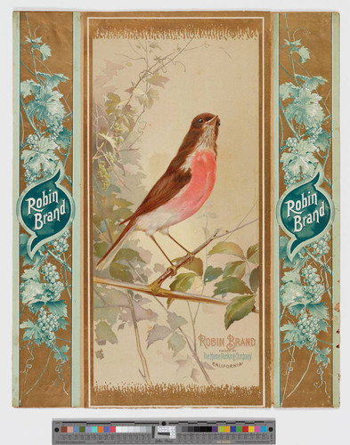 Robin Brand packed by the Home Packing Company. California