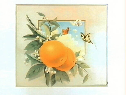 Stock label: oranges with butterflies