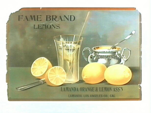 Fame Brand