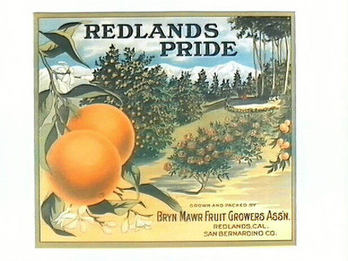 Redlands Pride